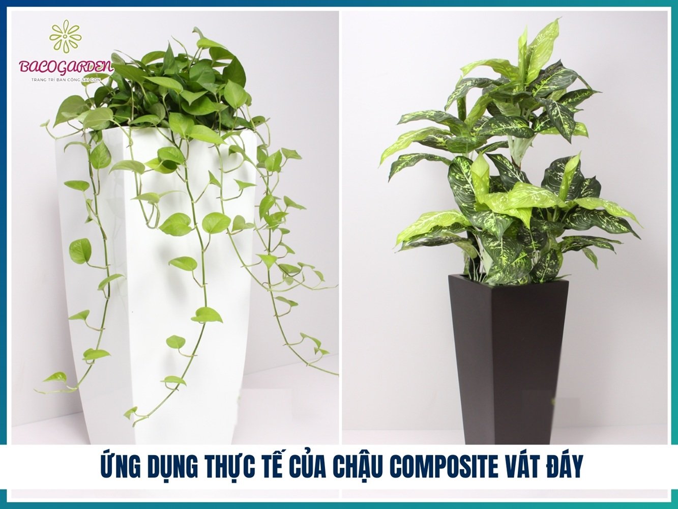 Chậu composite vát đáy 3
