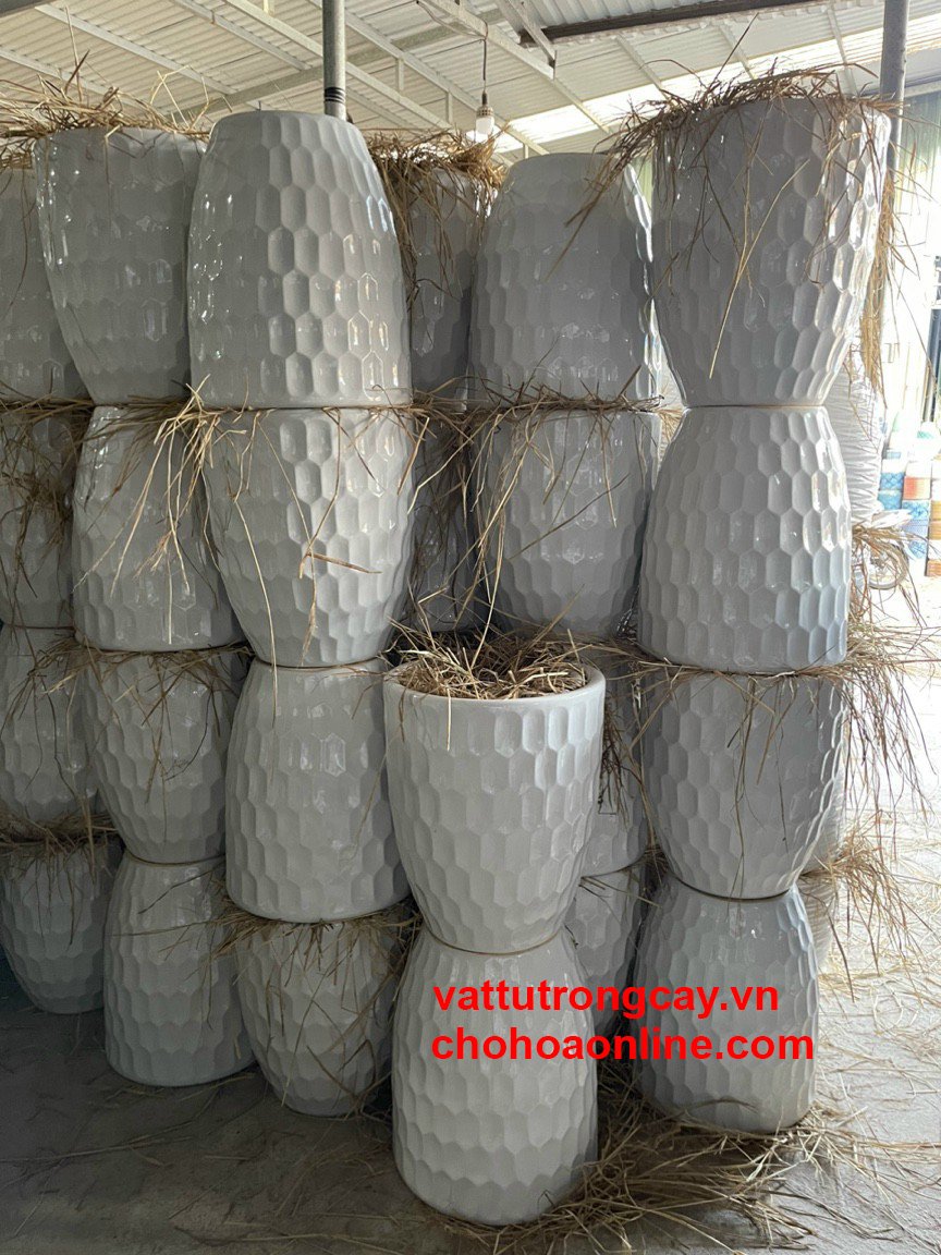 Chậu Sứ Tráng Men Hình Tổ Ong 2