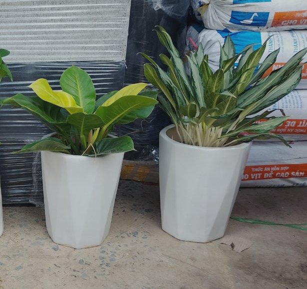 Chậu Sứ Tráng Men Vát 3