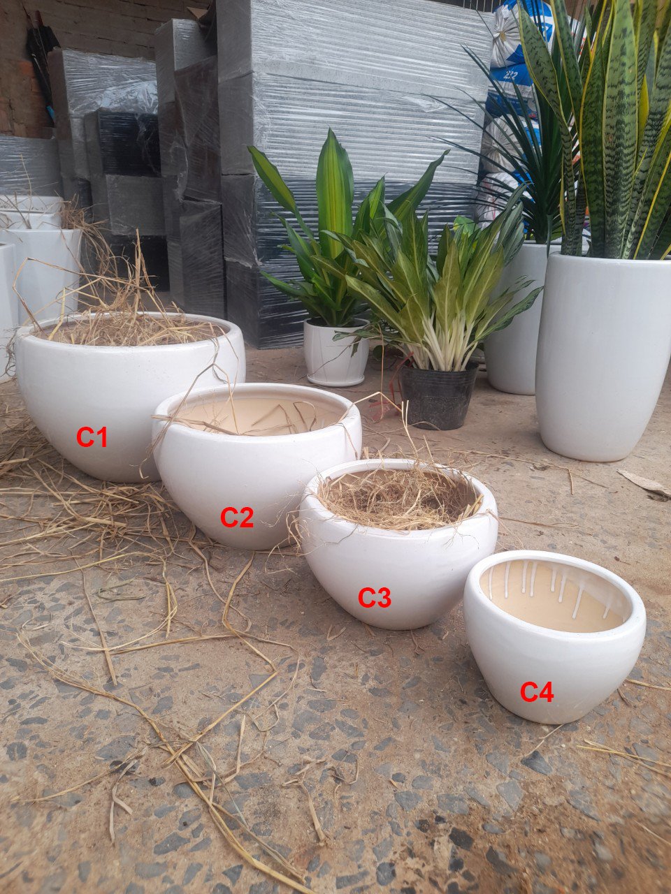 Chậu Sứ Tráng Men Trứng Tròn
