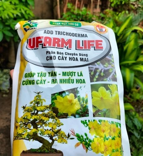 Phân Bón Chuyên Dùng Cho Hoa Mai