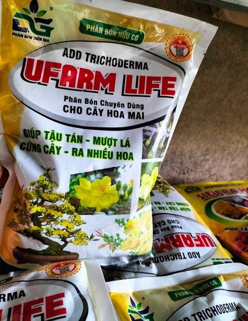 Phân Bón Chuyên Dùng Cho Hoa Mai 2
