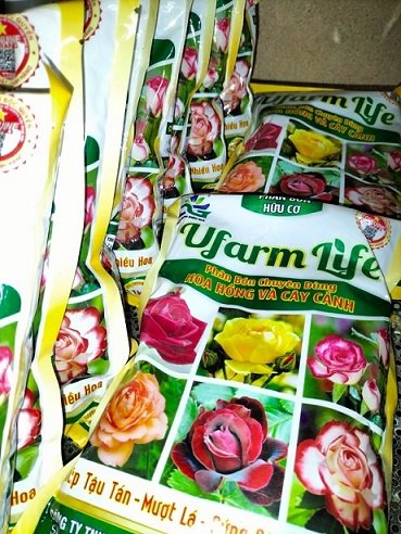 Phân Bón Chuyên Cây Hoa Hồng