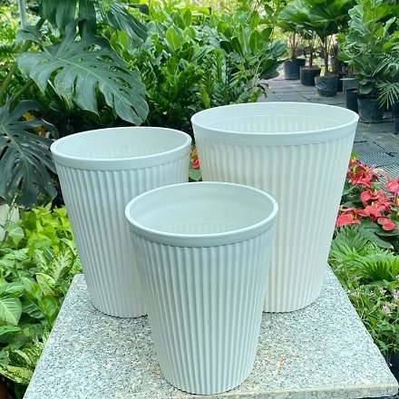 Chậu Nhựa Trồng Cây Gân Sọc 27×34 3