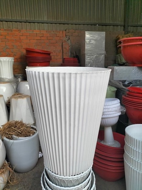 Chậu Nhựa Đứng Trồng Cây Gân Sọc 3
