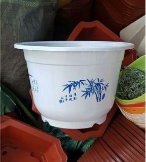 Chậu Nhựa Trồng Cây (Bình an Sung túc)