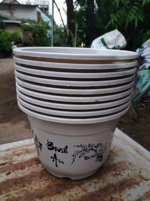 Chậu Nhựa Trồng Cây (Bình an Sung túc) 2
