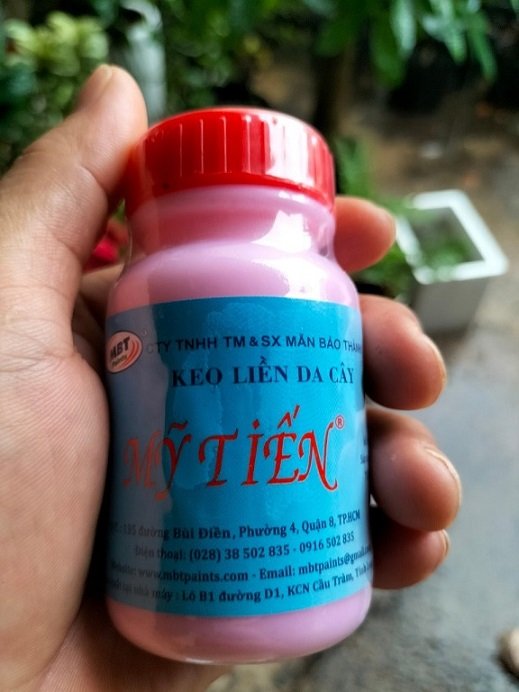 Keo Liền Da Liền Sẹo Mỹ Tiến