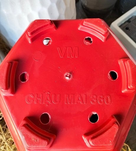 Bán Chậu Lục Giác Trồng Cây 3