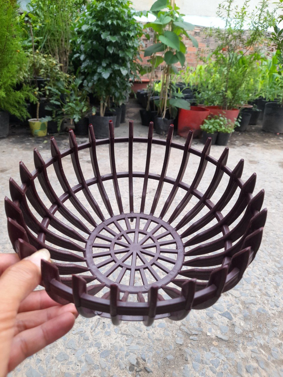 Chậu Nhựa Giả Gỗ Trồng Lan Hình Bí Phi 23cm