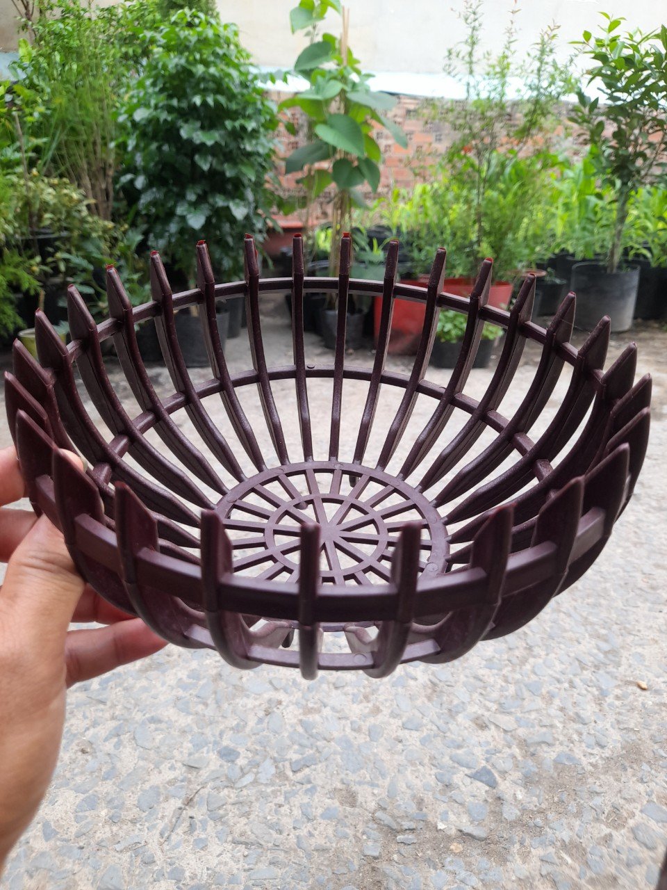 Chậu Nhựa Giả Gỗ Trồng Lan Hình Bí Phi 23cm 3