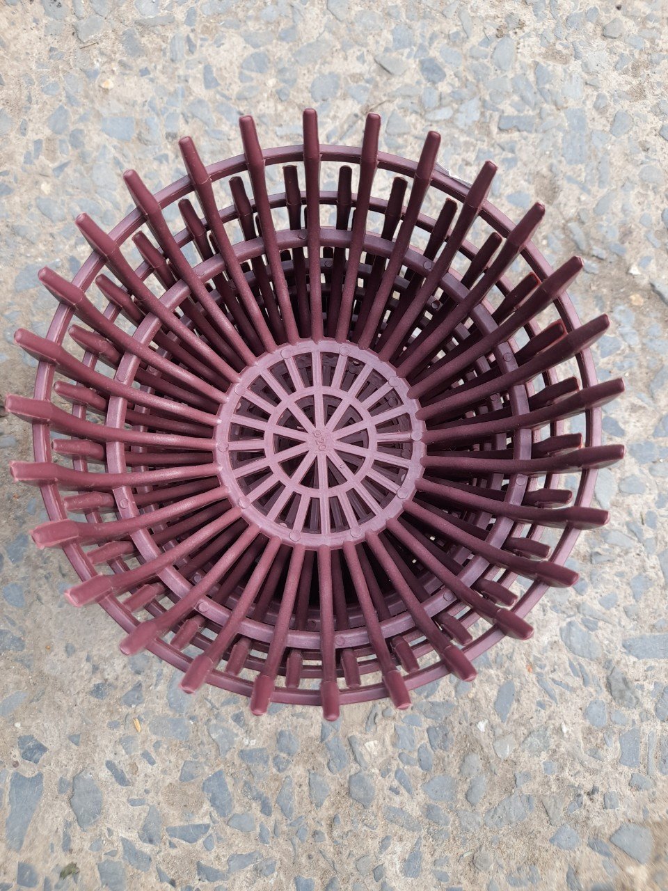 Chậu Nhựa Giả Gỗ Trồng Lan Hình Bí Phi 20cm