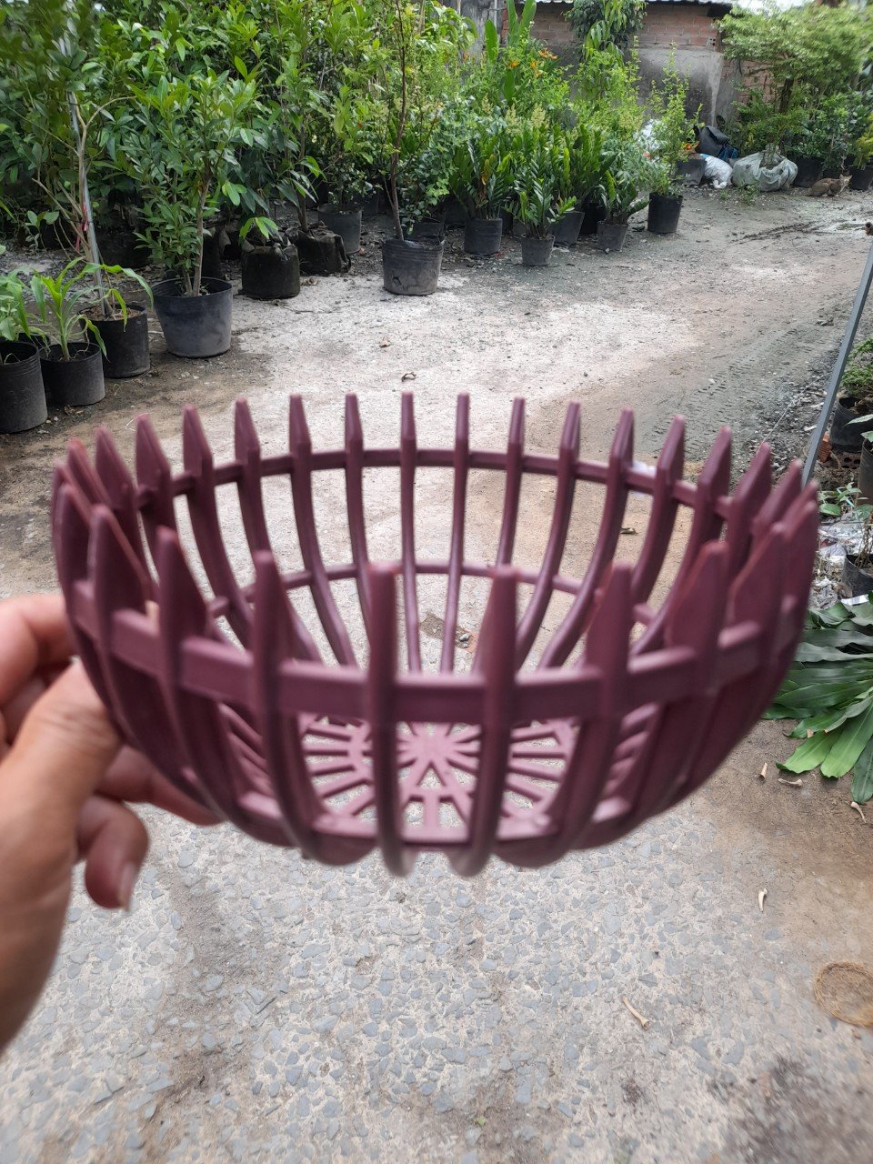 Chậu Nhựa Giả Gỗ Trồng Lan Hình Bí Phi 20cm 3