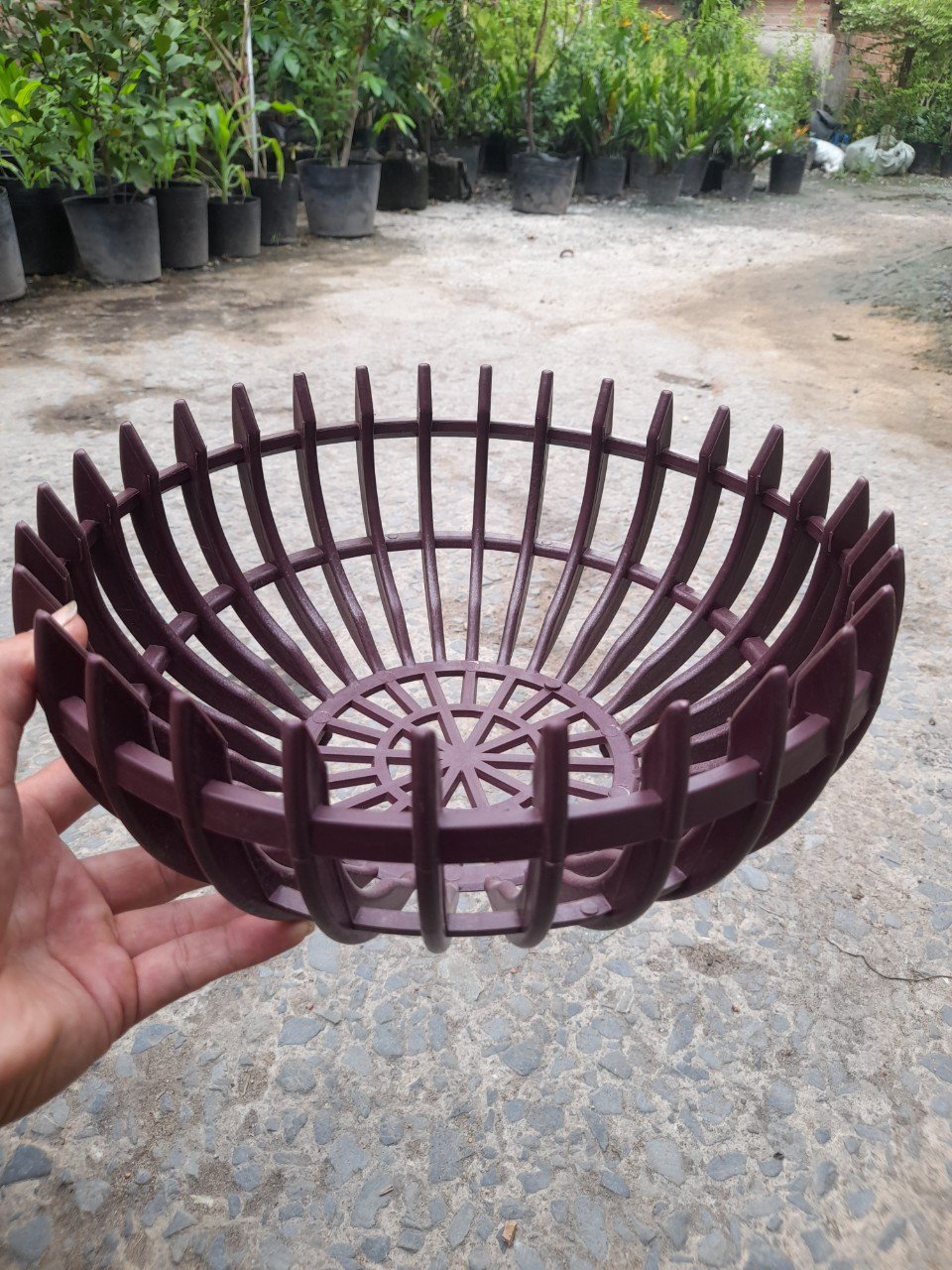 Chậu Nhựa Giả Gỗ Trồng Lan Hình Bí Phi 30cm