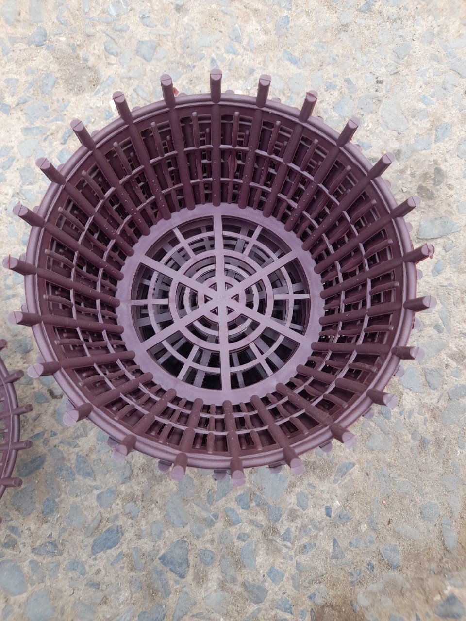 Chậu Nhựa Giả Gỗ Trồng Lan Phi 23cm