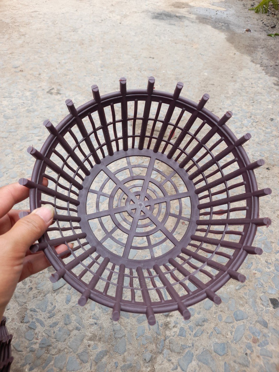 Chậu Nhựa Giả Gỗ Trồng Lan Phi 23cm 3