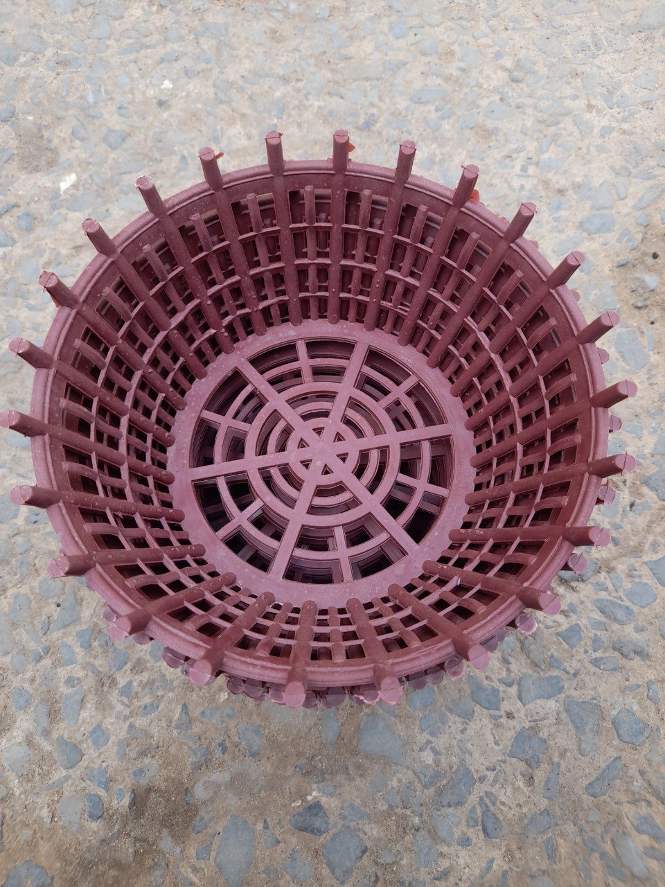 Chậu Nhựa Giả Gỗ Trồng Lan Phi 26cm