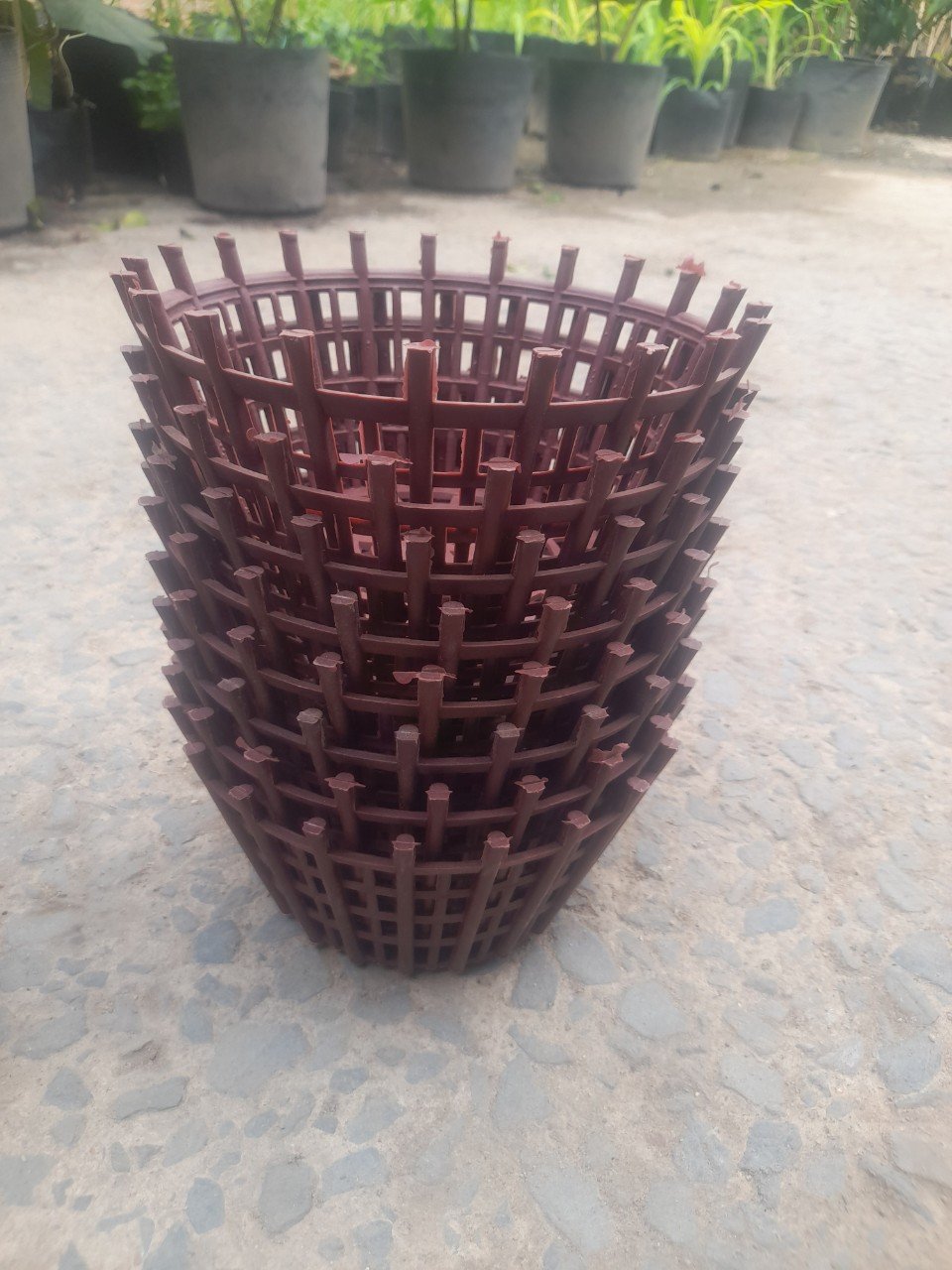 Chậu Nhựa Trồng Giả Gỗ Trồng Lan Phi 20 2