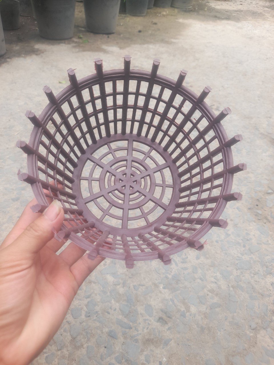 Chậu Nhựa Trồng Giả Gỗ Trồng Lan Phi 20 3