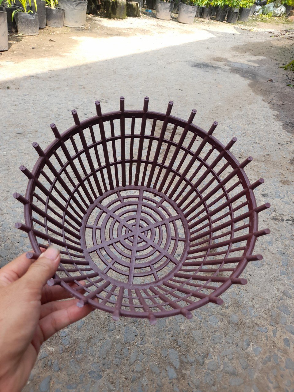 Chậu Nhựa Giả Gỗ Trồng Lan Phi 28cm 3