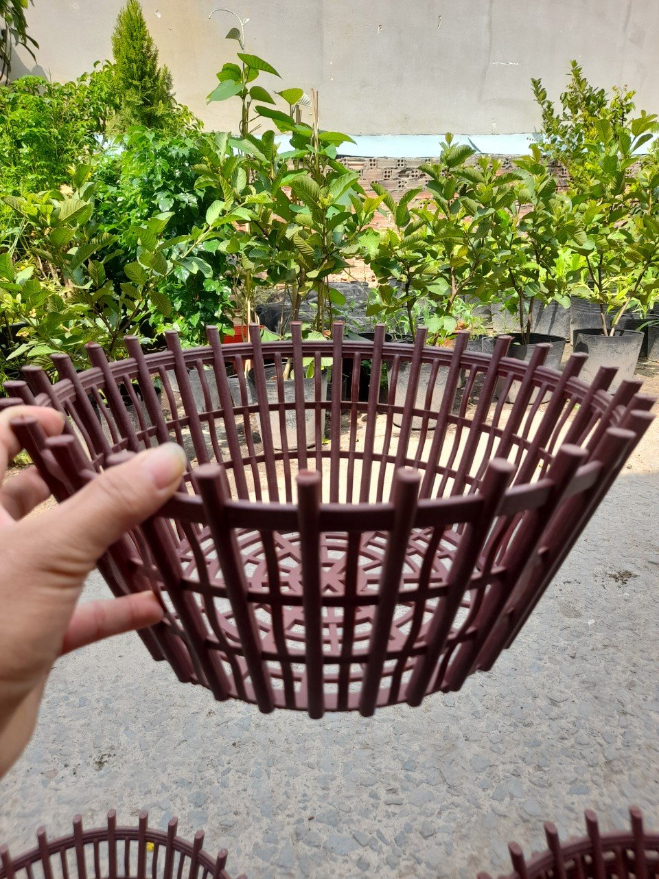 Chậu Nhựa Giả Gỗ Trồng Lan Phi 35cm 3