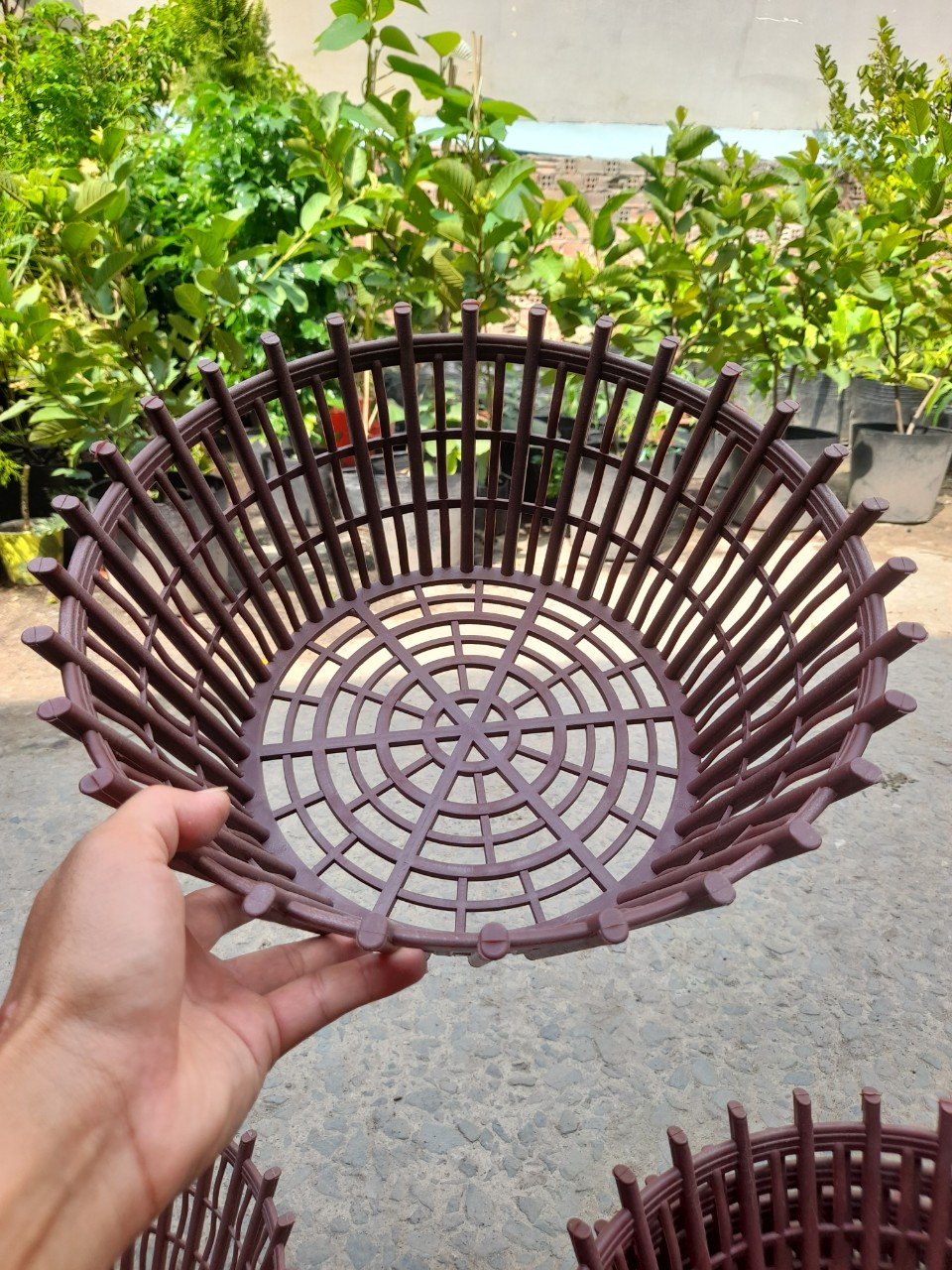 Chậu Nhựa Giả Gỗ Trồng Lan Phi 35cm 2