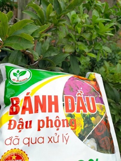 Bánh Dầu Đậu Phộng Xử Lý