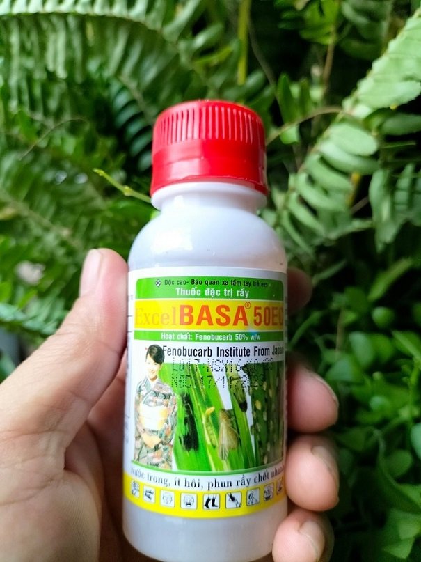 Thuốc Đặc Trị Rầy