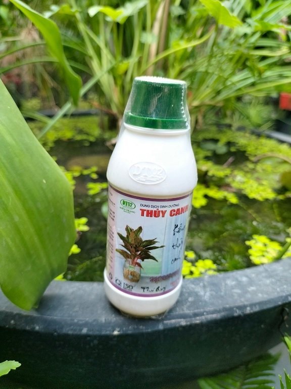 Phân Bón Cho Cây Trồng Thủy Sinh (thủy canh)