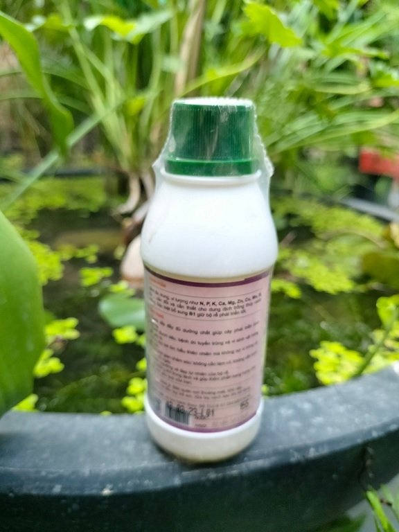 Phân Bón Cho Cây Trồng Thủy Sinh (thủy canh) 3