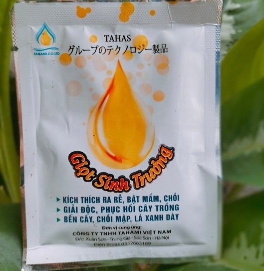 Phân Bón Lá Giọt Sinh Trưởng