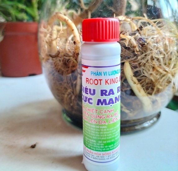 Phân Kích Rễ Root King (usa)
