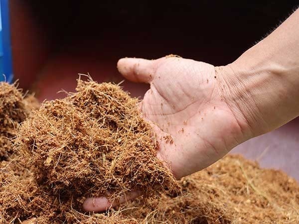 Xơ Dừa Giá Thể Trồng Cây