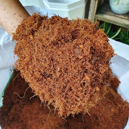 Xơ Dừa Giá Thể Trồng Cây 2