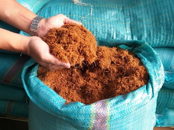Xơ Dừa Giá Thể Trồng Cây 3