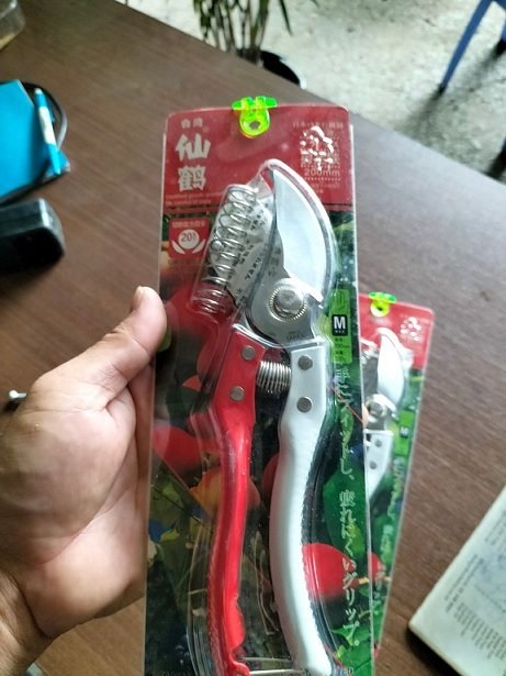 Kéo Cắt Cành Tỉa Cây 2