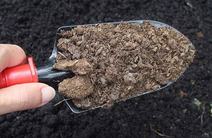Phân Bò Khô Trồng Cây (chưa xử lý) 2