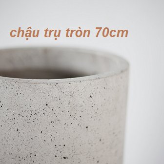 Chậu Xi Măng Đá Mài Trồng Cây Trụ Tròn 70cm