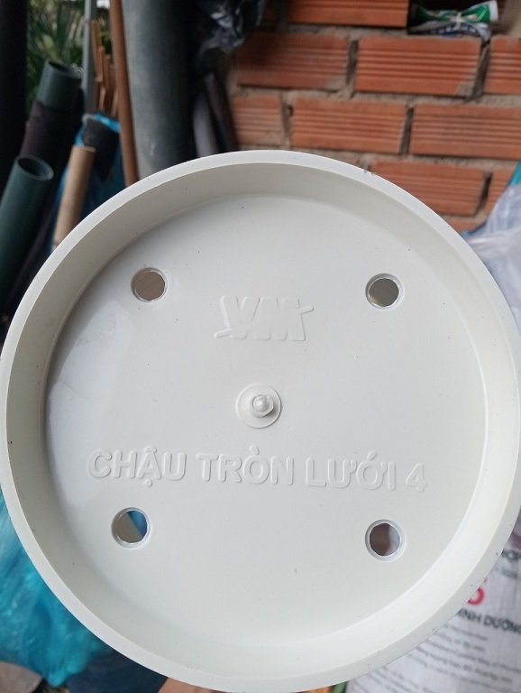 Chậu Nhựa Trồng Cây Vân Lưới 3