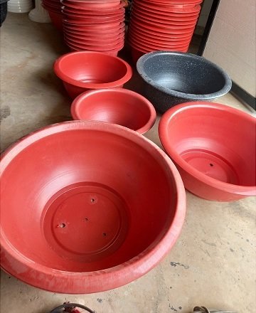 Chậu Nhựa Truyền Thống Trồng Cây Đường Kính 60cm