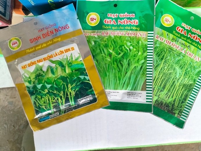 Hạt Giống Rau Muống