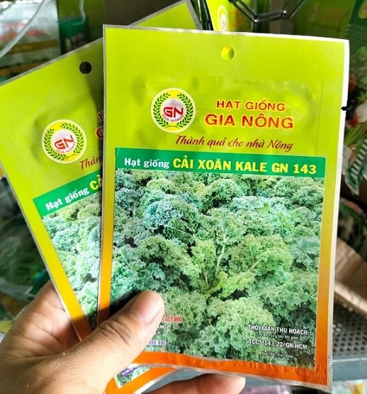 Hạt Giống Rau Cải Xoăn Kale 2
