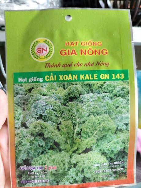 Hạt Giống Rau Cải Xoăn Kale