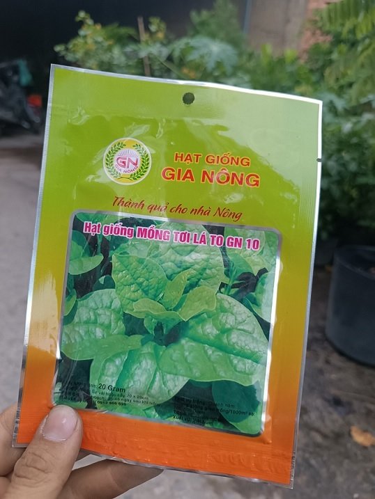 Hạt Giống Rau Mồng Tơi 3