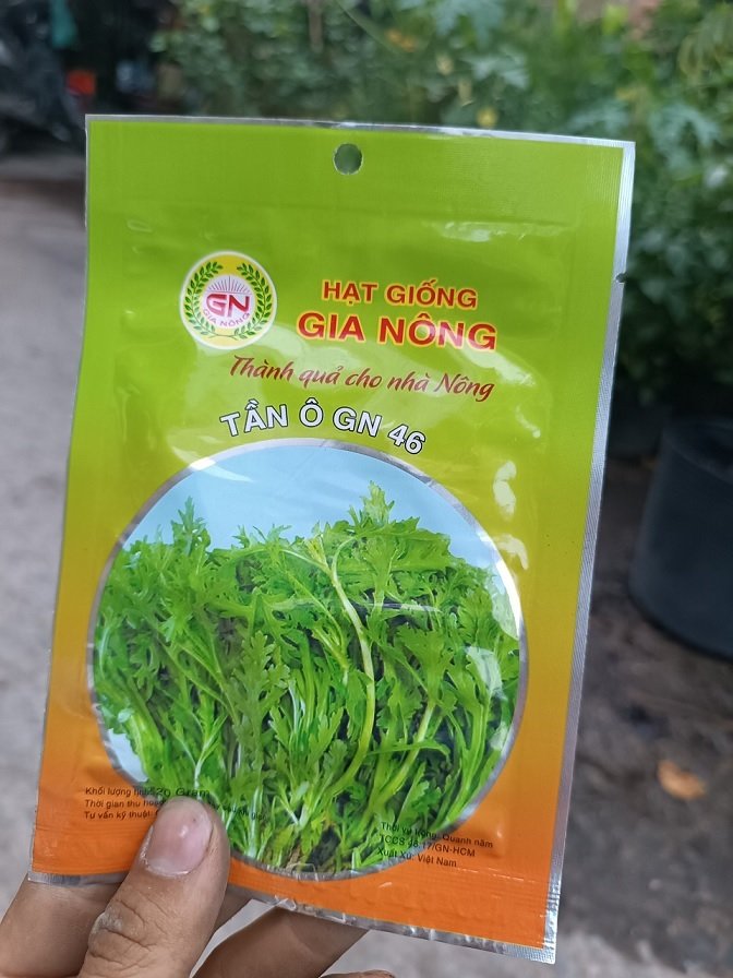 Hạt Giống Rau Tần Ô