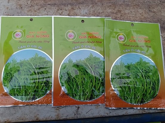 Hạt Giống Rau Tần Ô 2