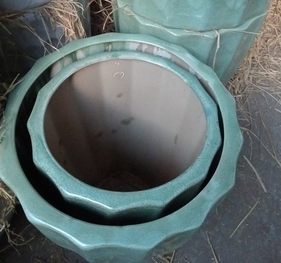 Chậu Sứ Trồng Cây Hình Trái Khế 3