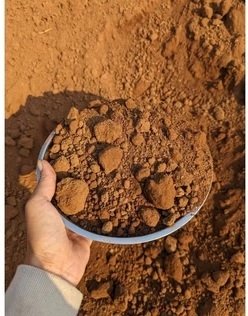 Bán Đất Đỏ Bazan Trồng Cây 3
