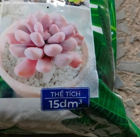 Giá Thể Trồng Xương Rồng Sen Đá Kiểng Lá 3