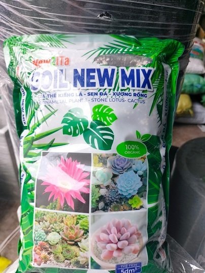 Giá Thể Trồng Kiểng Lá Xương Rồng Sen Đá 2
